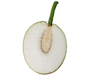 CUL_variety_puaa_thumbs_2